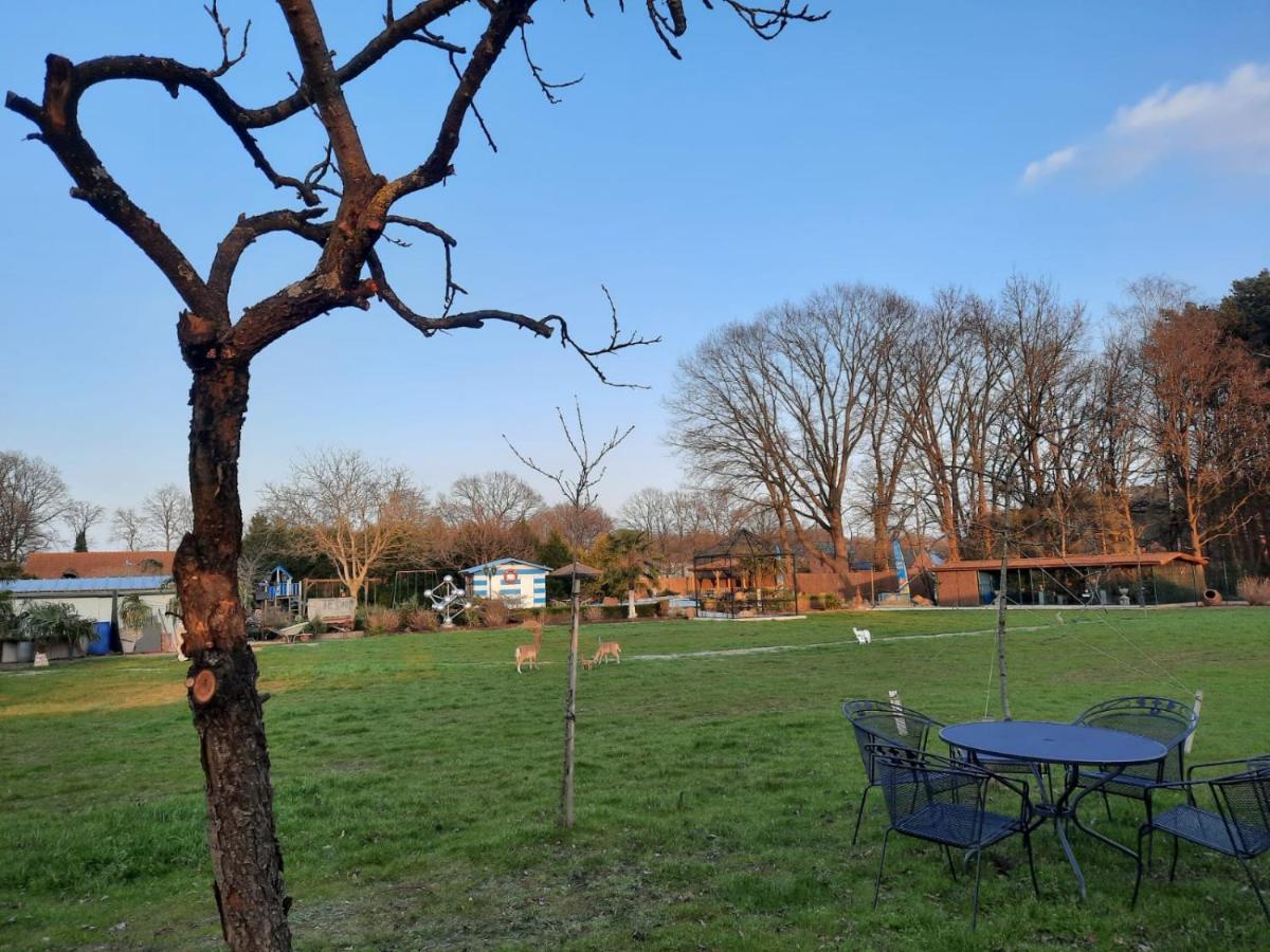 B&B Casa Roman & Vakantiewoning Voor 1 Pers Tot Max 32 Personen Zonhoven Esterno foto