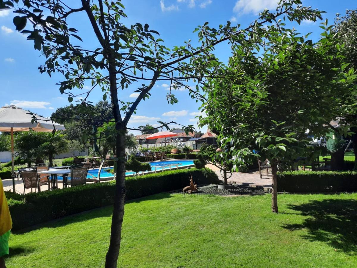 B&B Casa Roman & Vakantiewoning Voor 1 Pers Tot Max 32 Personen Zonhoven Esterno foto