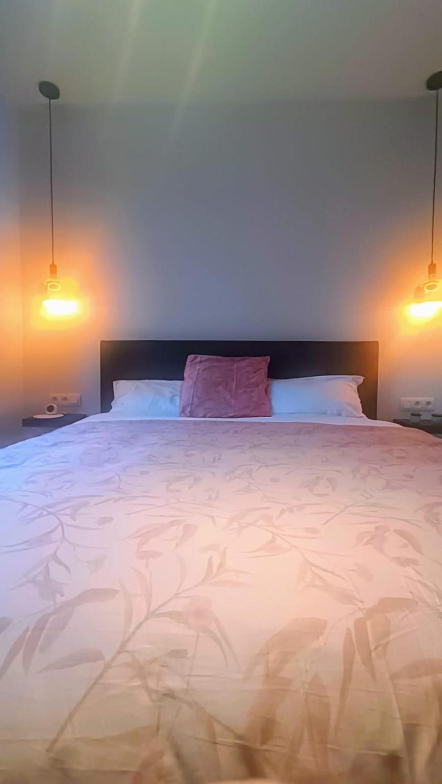 B&B Casa Roman & Vakantiewoning Voor 1 Pers Tot Max 32 Personen Zonhoven Esterno foto
