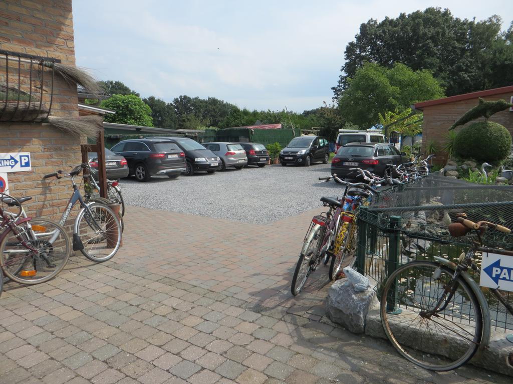 B&B Casa Roman & Vakantiewoning Voor 1 Pers Tot Max 32 Personen Zonhoven Esterno foto